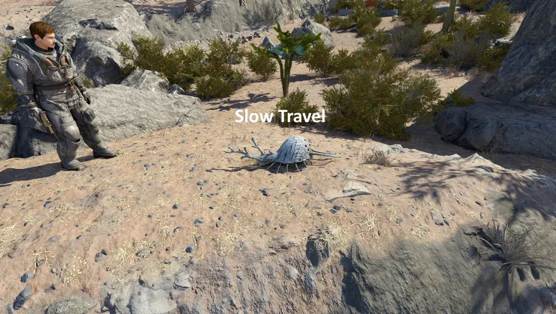 Slow Travel